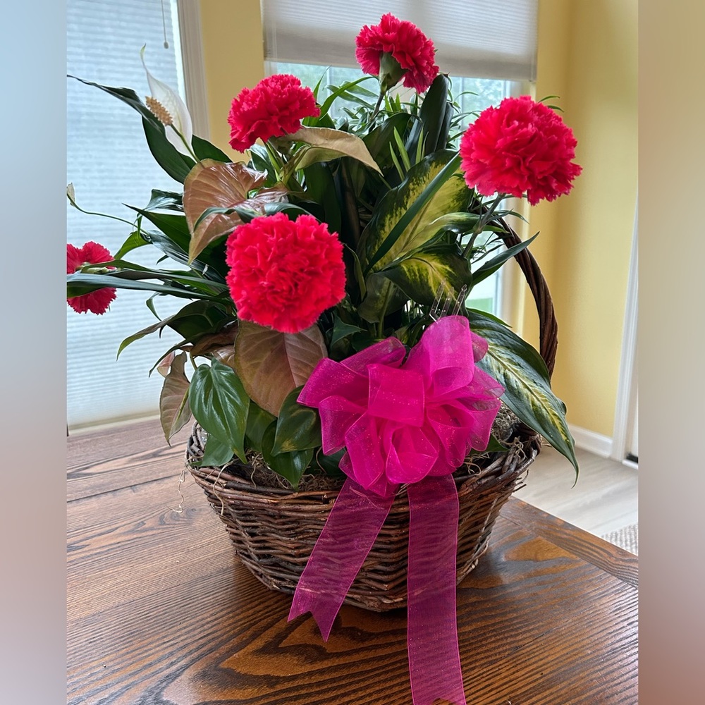 Meet your Posher, Michelle